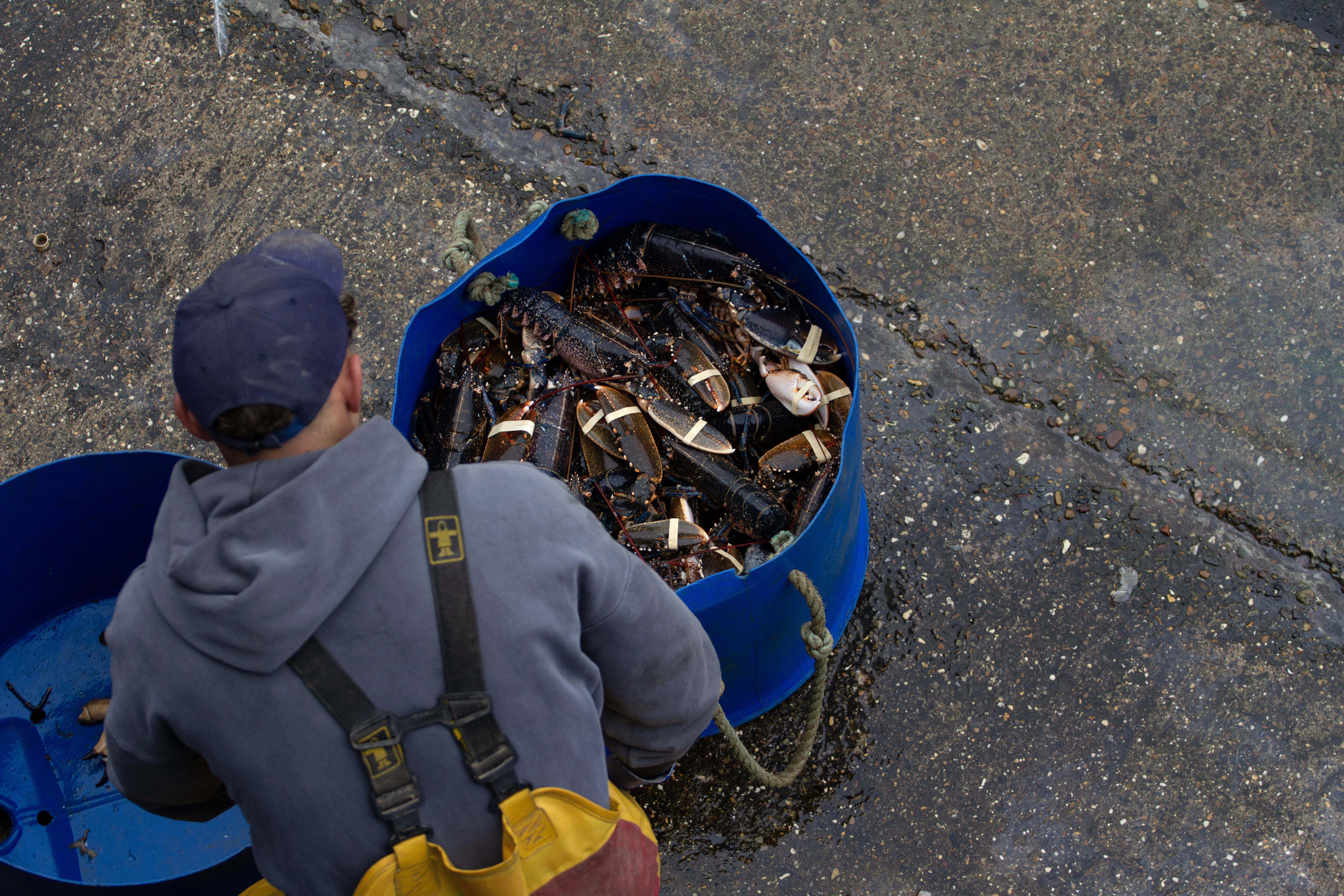 fisherman with lobster bucket