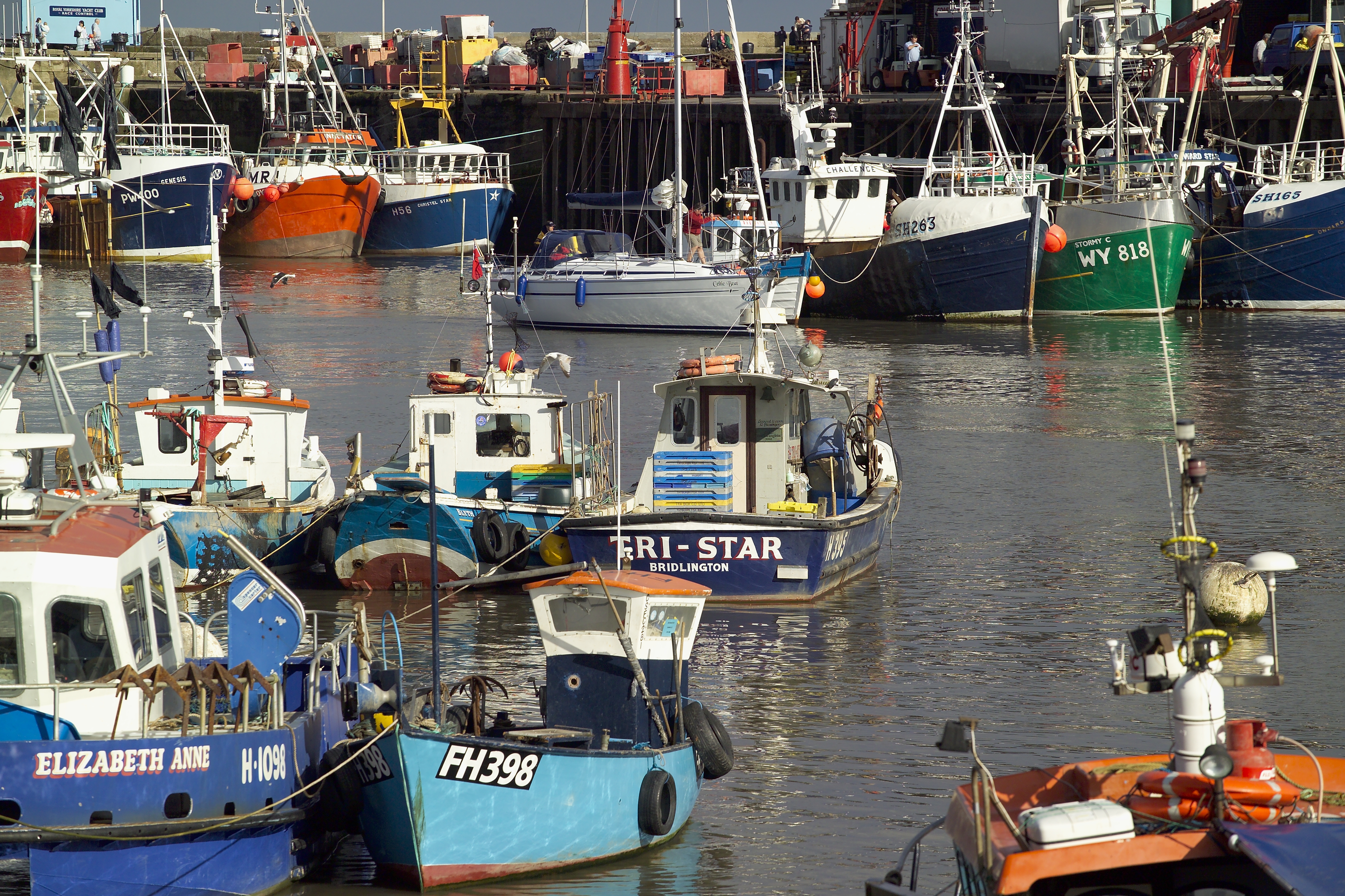 fishing boats in harbour