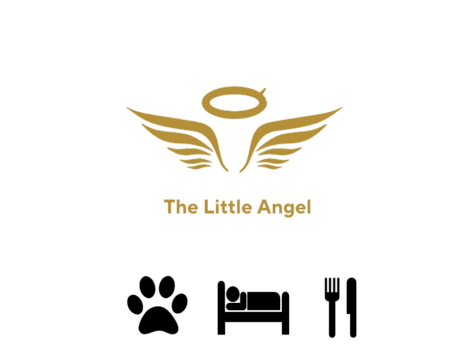 the little angel dog friendly Whitby places to stay